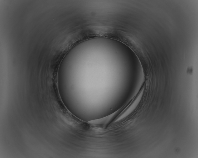 X0000091230221200708231702