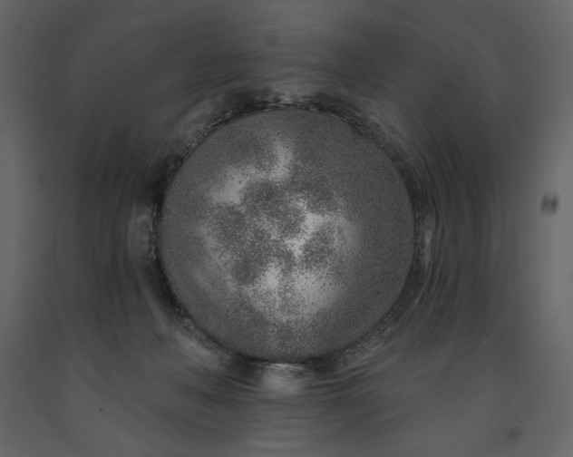 X0000091230222200708231702