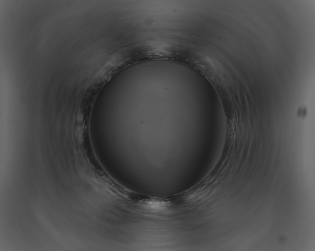X0000091230223200708231702