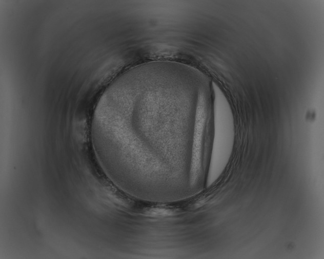 X0000091230224200708231702