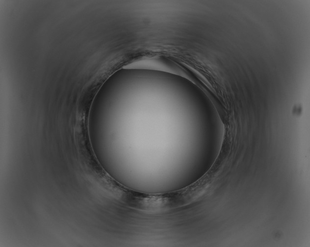 X0000091230225200708231702