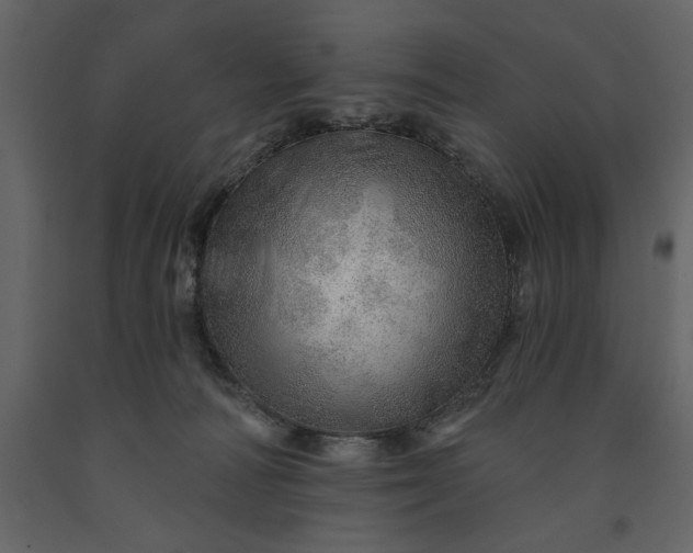 X0000091230226200708231702
