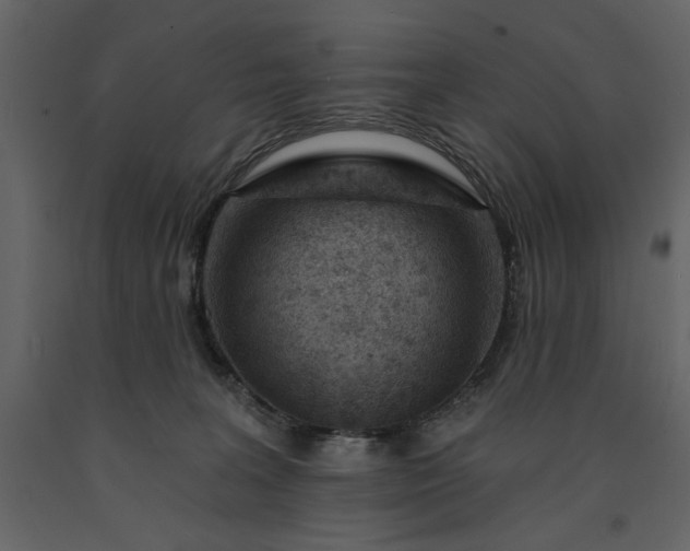 X0000091230227200708231701