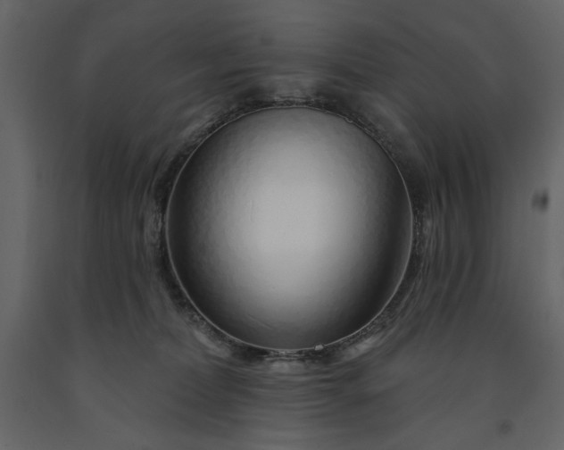X0000091230228200708231701