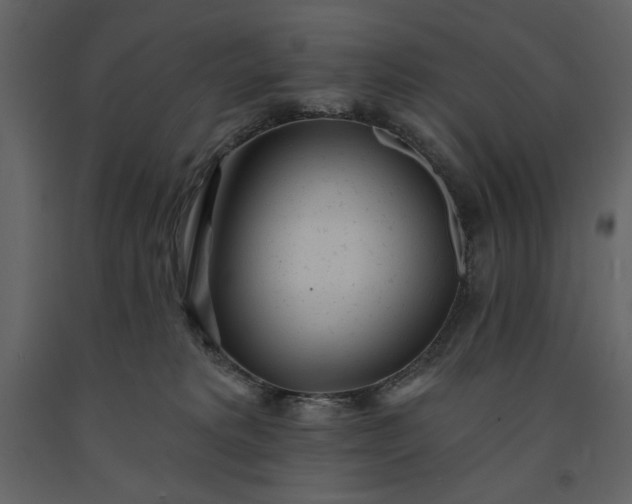 X0000091230229200708231701