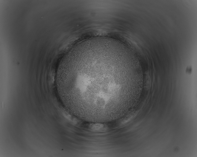 X0000091230230200708231701
