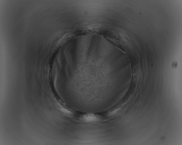 X0000091230231200708231701