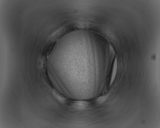 X0000091230233200708231701