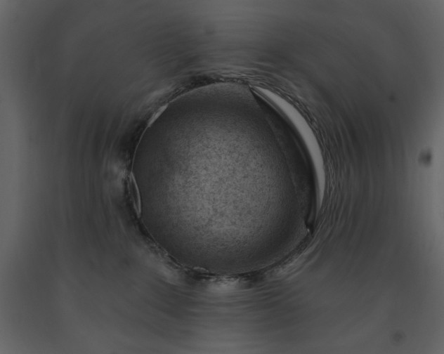 X0000091230235200708231701
