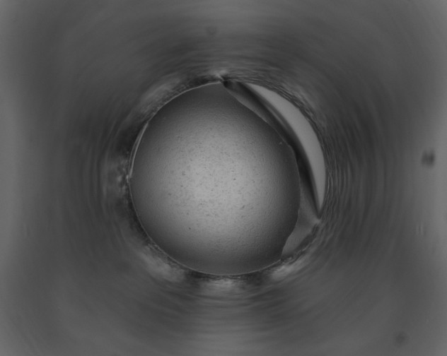 X0000091230237200708231701