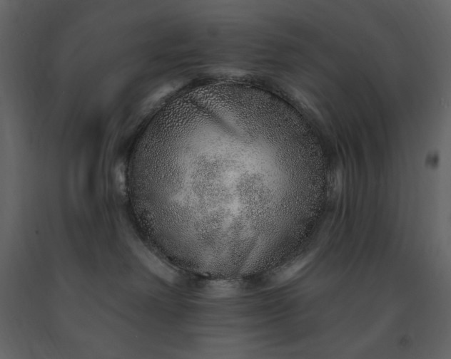 X0000091230238200708231701