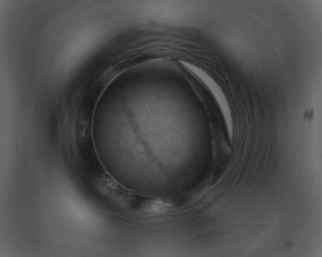 X0000091230239200708231701