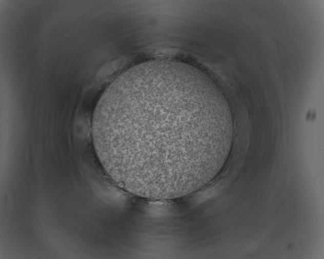X0000091230240200708231701