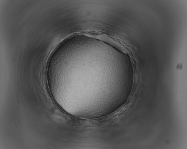 X0000091230241200708231701