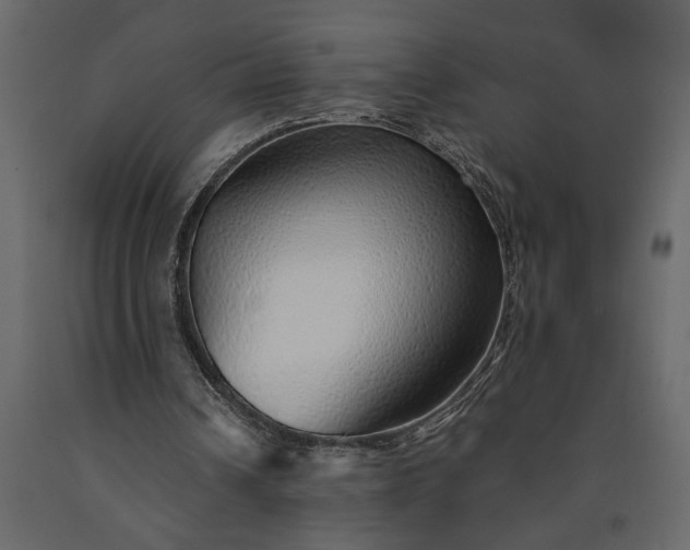 X0000091230242200708231701