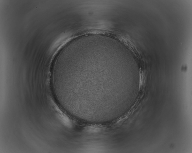 X0000091230243200708231701
