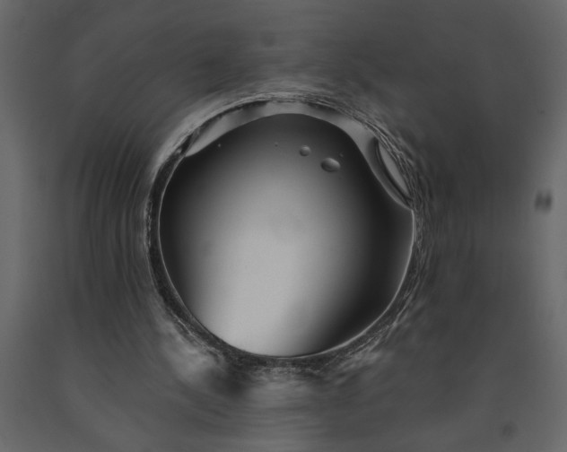 X0000091230244200708231701