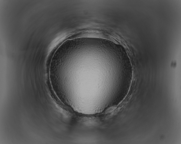 X0000091230245200708231701