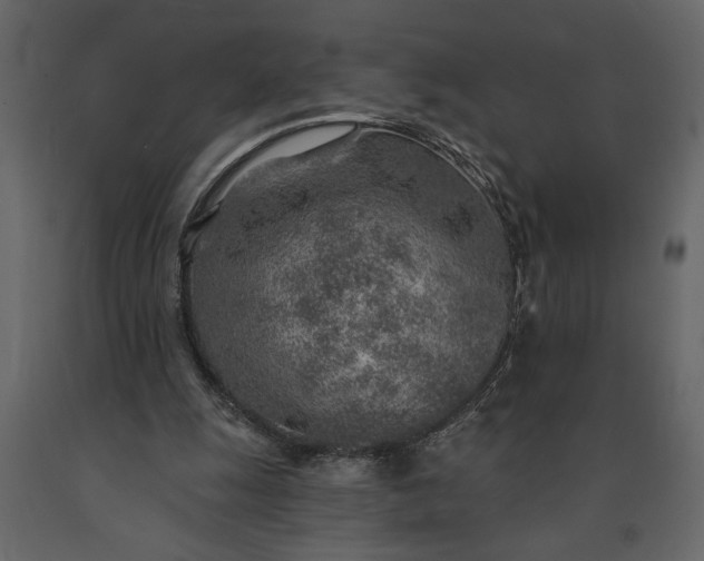 X0000091230247200708231701