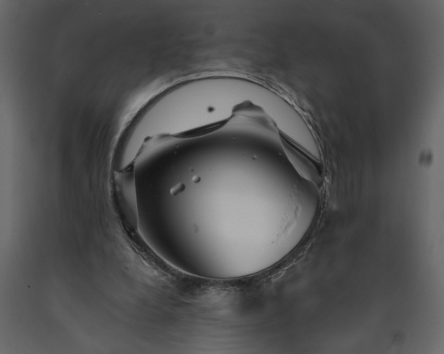 X0000091230248200708231701