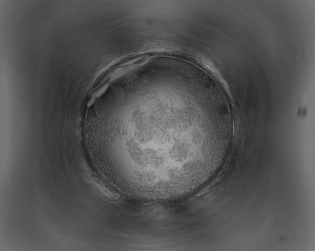 X0000091230249200708231701