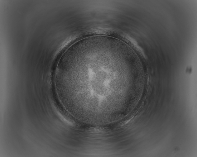 X0000091230250200708231701