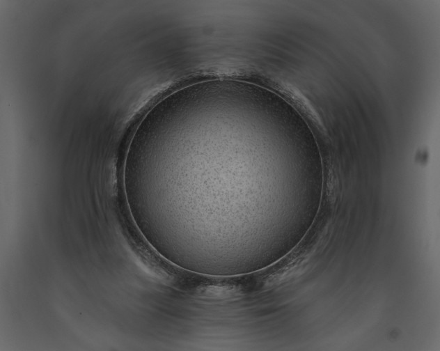 X0000091230251200708231701