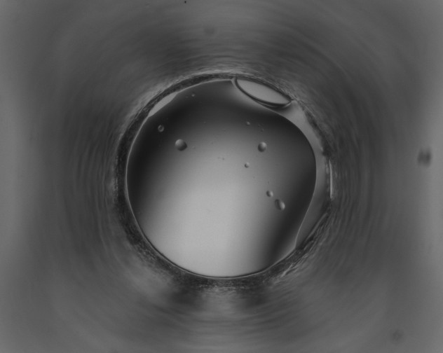 X0000091230252200708231701