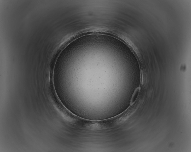 X0000091230253200708231701