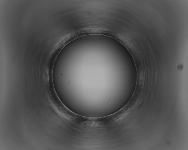 X0000091230254200708231701
