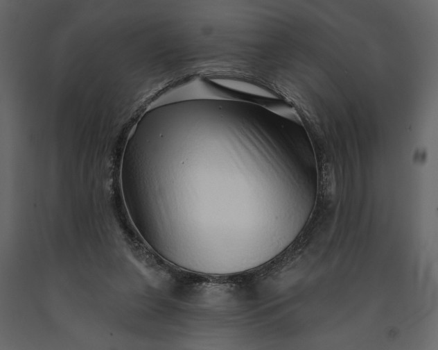 X0000091230255200708231701