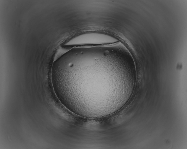 X0000091230257200708231701