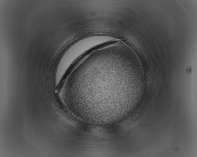 X0000091230258200708231701