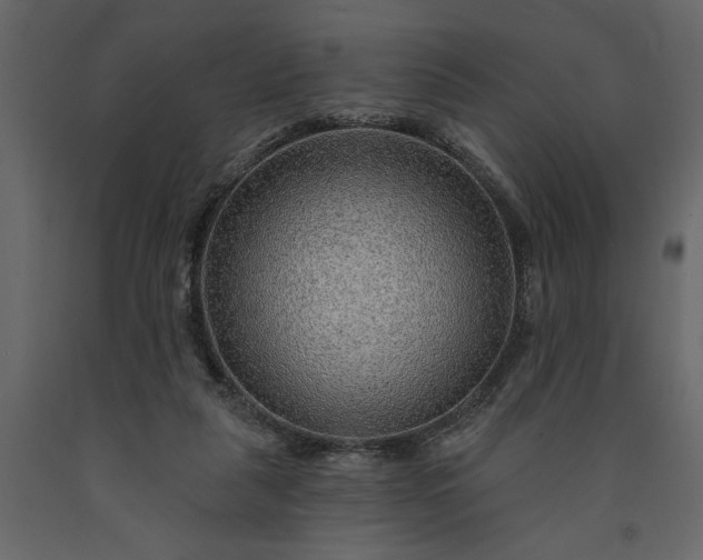 X0000091230259200708231701