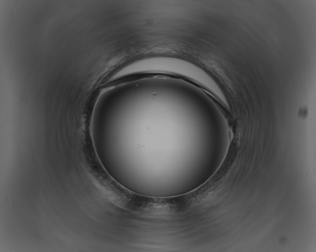 X0000091230260200708231701