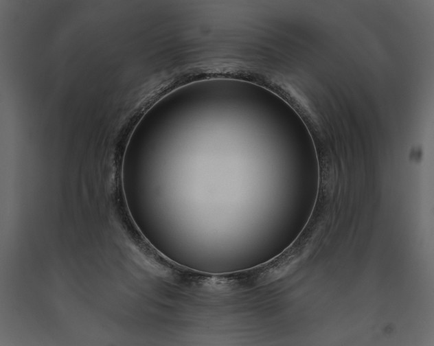 X0000091230261200708231701