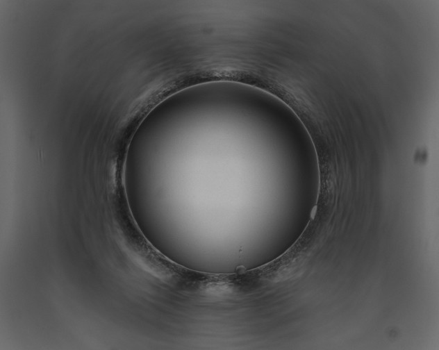 X0000091230262200708231701