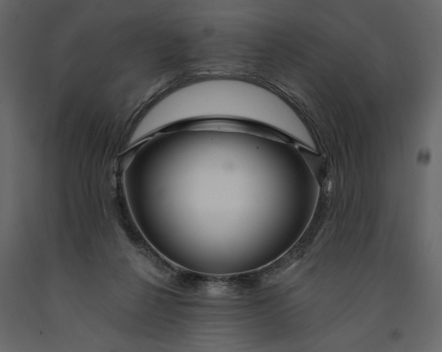 X0000091230264200708231701