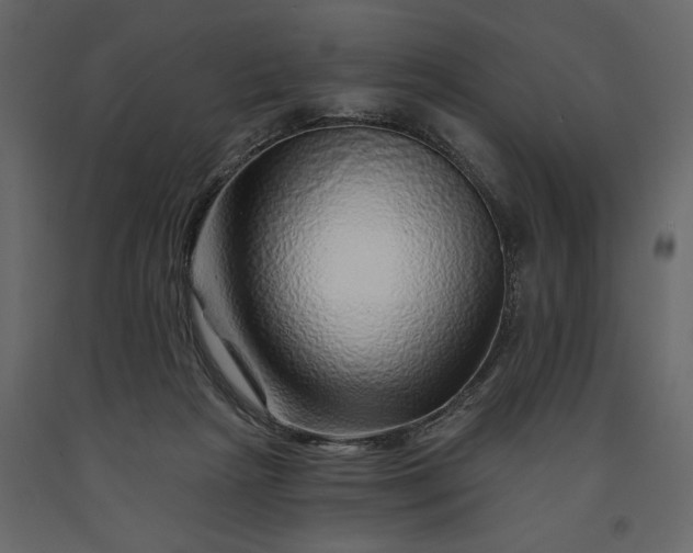 X0000091230265200708231701