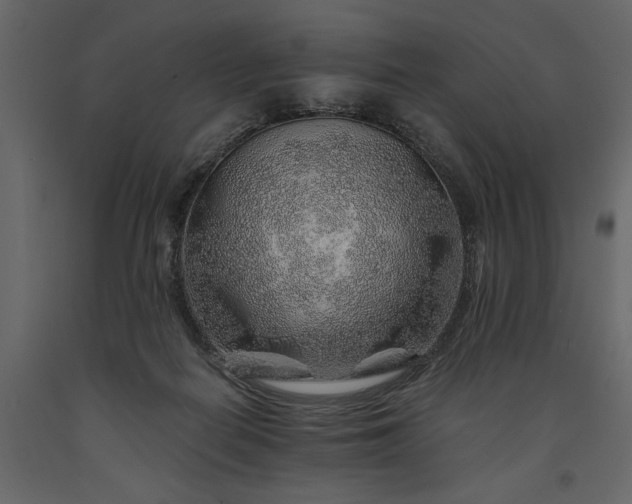 X0000091230266200708231701