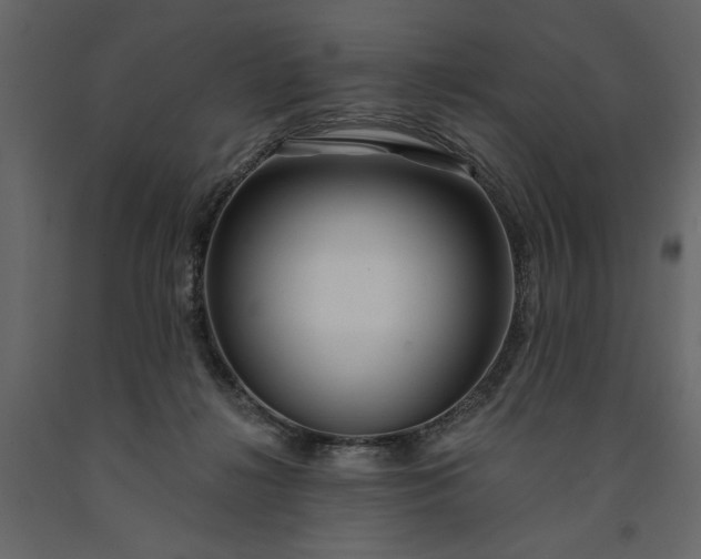 X0000091230268200708231701