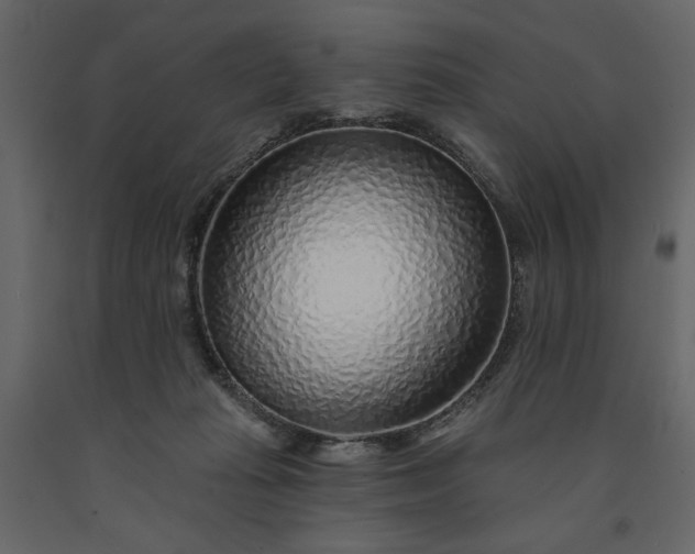 X0000091230269200708231701