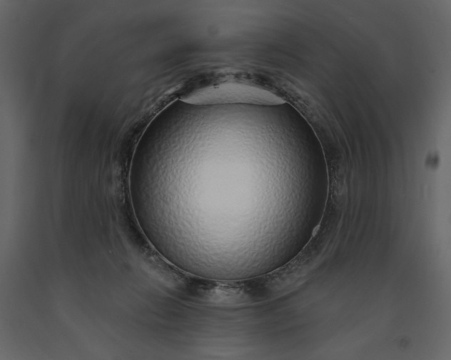 X0000091230270200708231701