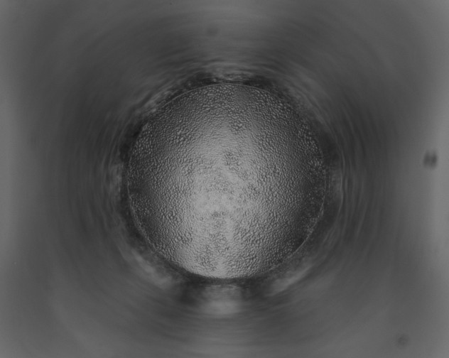 X0000091230271200708231701