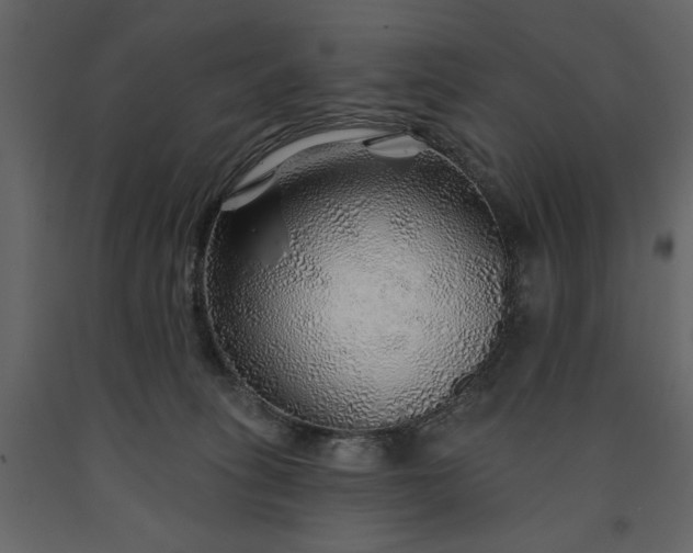 X0000091230275200708231701