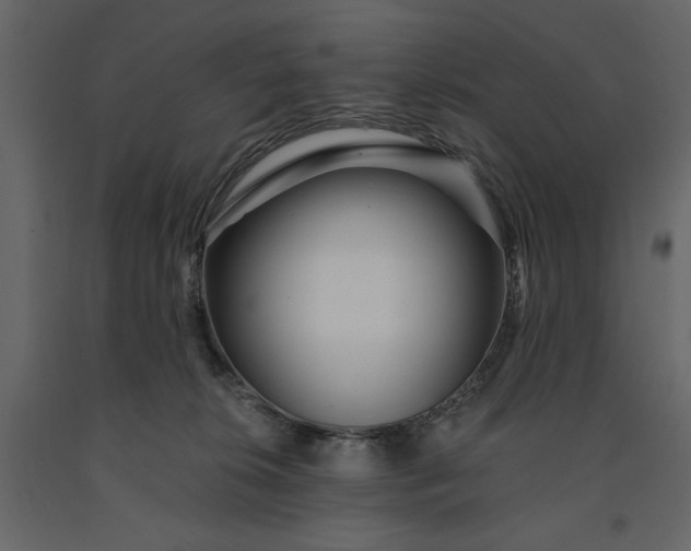 X0000091230276200708231701