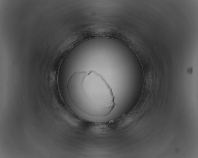 X0000091230278200708231701