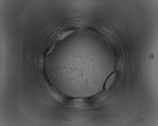 X0000091230279200708231701