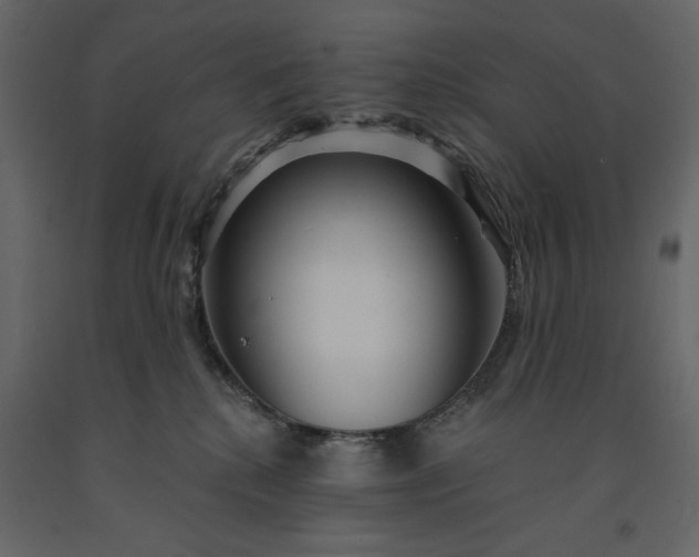 X0000091230280200708231701