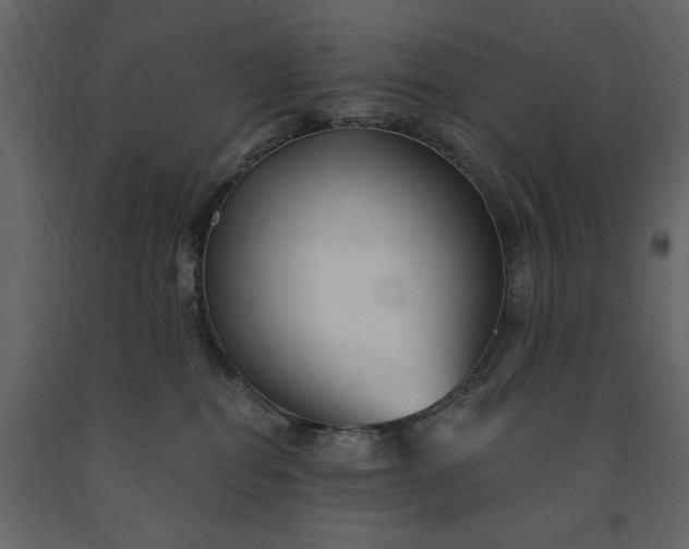 X0000091230282200708231701